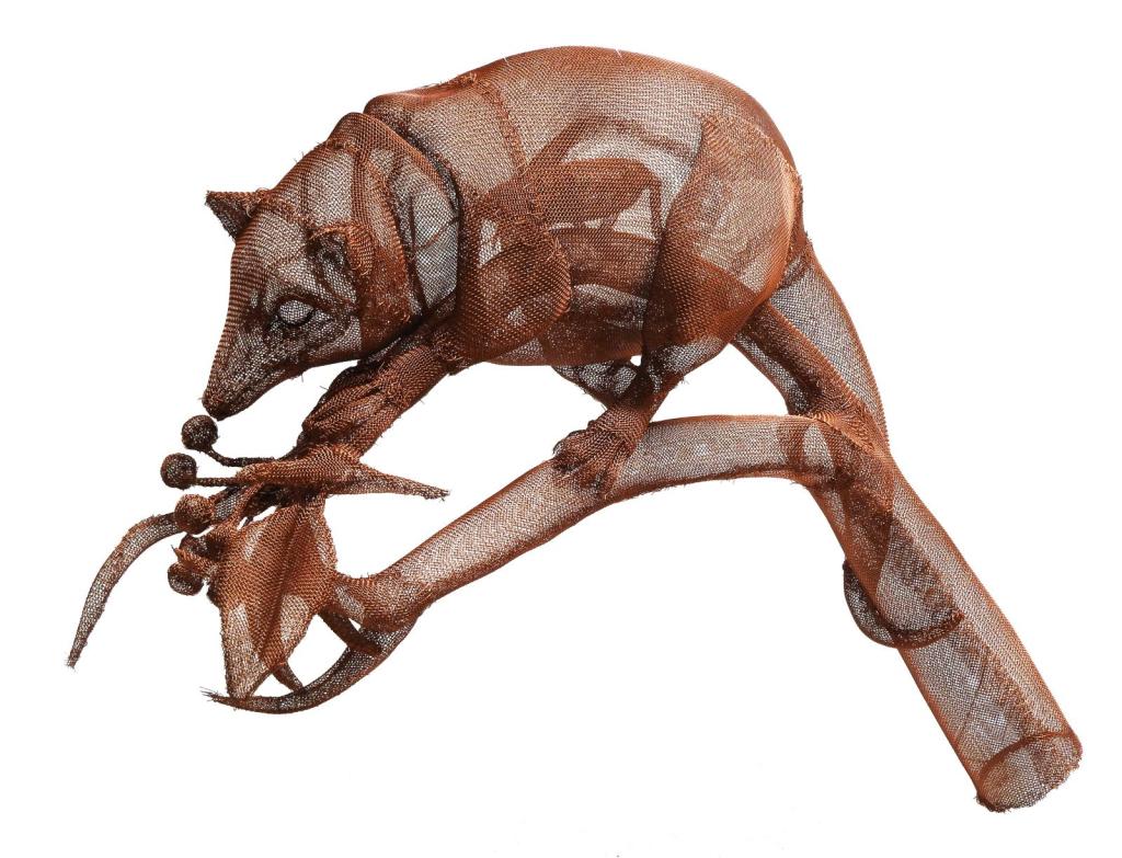 monito de monte, dromiciops australis