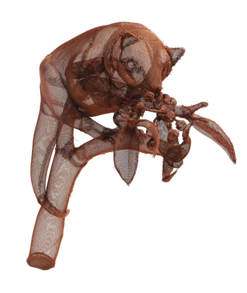 monito de monte, dromiciops australis